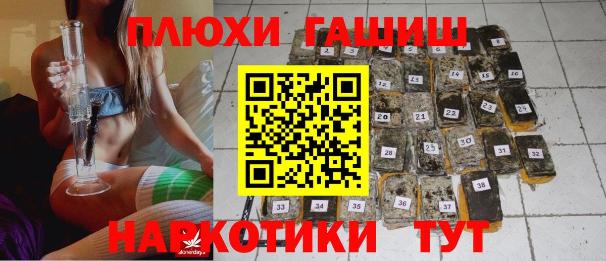 ГАШ Premium Каменск-Шахтинский