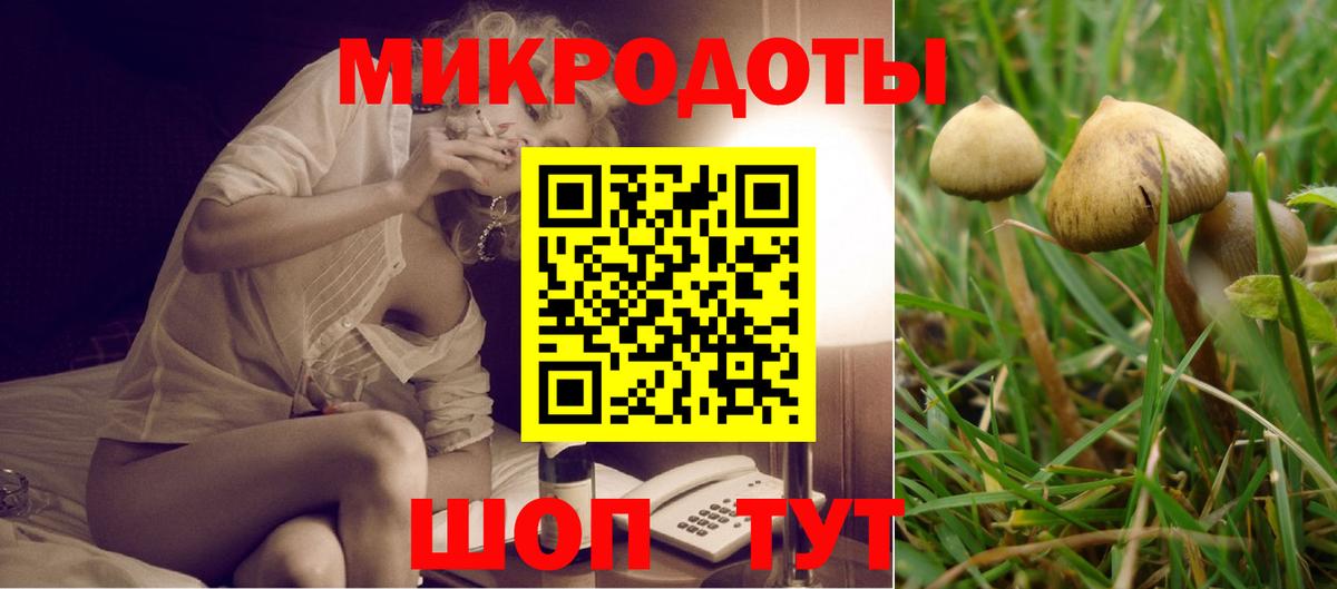 Псилоцибиновые грибы прущие грибы Каменск-Шахтинский